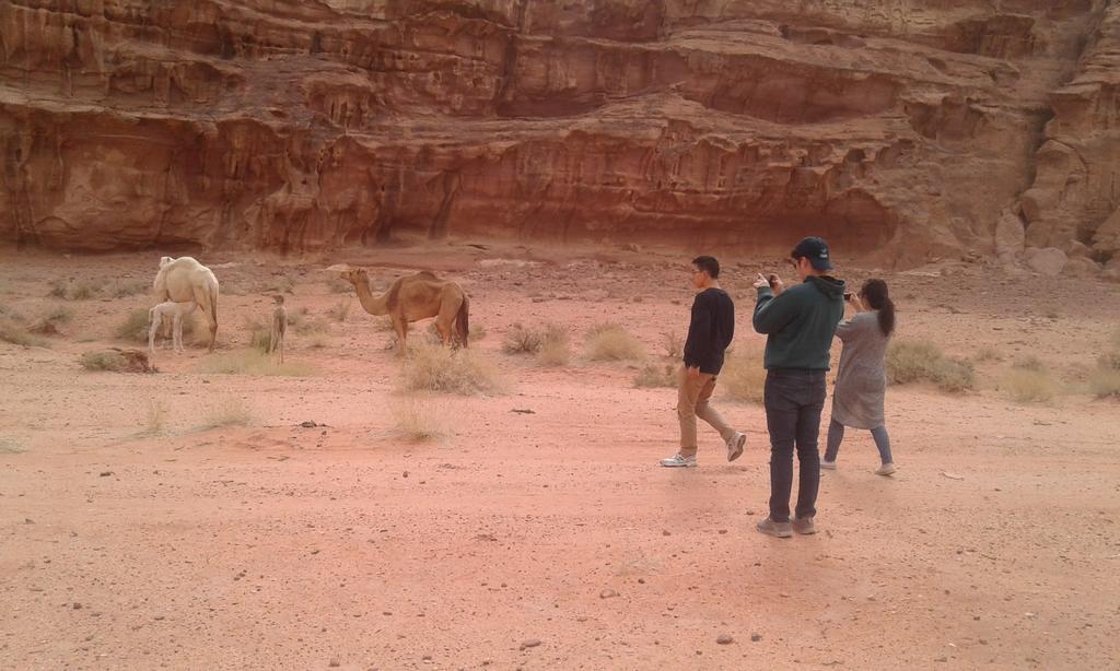 Wadi Rum Light Camp 외부 사진