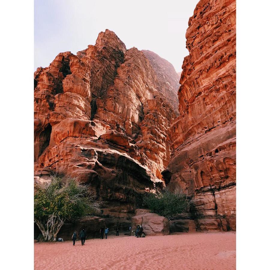 Wadi Rum Light Camp 외부 사진